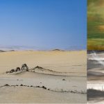 Muestra de arte sobre la Reserva Nacional de Paracas