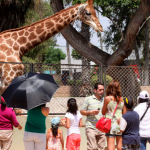 Parque de las Leyendas anuncia ingreso gratuito: ¿Desde cuándo aplica la medida?
